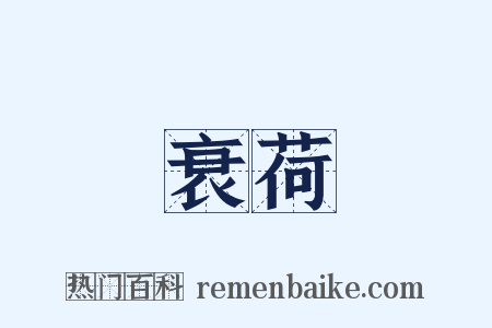 衰荷是什么意思的图片